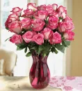 LOVE OF ROSES