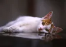 just a little relax