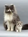 dad  and me