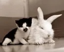 cuteee