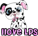 llove