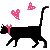 cute cat 