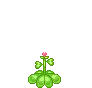 Heart Flower