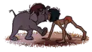 Mowgli