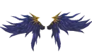 Wing of Storm
