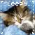 Sleepy  Cat