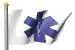 flag 1