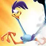 road runner
