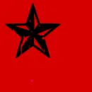 stars