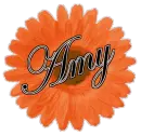 Amy