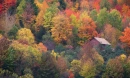 HIDDEN IN THE FALL