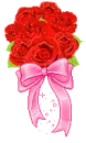 red roses