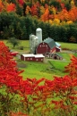 Hillside Acres Farm 