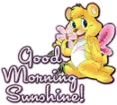 Good Morning Sunshine