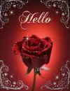Hello with a Rose
