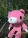 Gloomy Bear