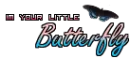 *ButterFly*