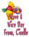 winnie the pooh nice day giselle