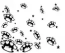 brass knuckles