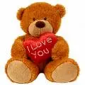 brown bear 
