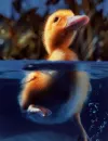 duckling under water