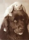 sweet frienship