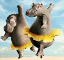 hipo ballet