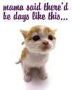 mama said...