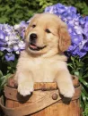 good looking guy