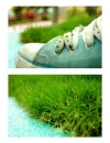Blue Converse