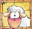 sheep white