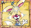 rabbit
