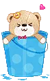cute bear