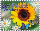 Best Friends Forever