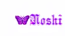 Butterfly Flying: Noshi