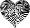 zebra heart
