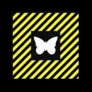 White Butterfly