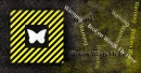 Broken / Warning / Butterfly