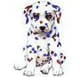 dalmatian avatar