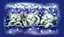 kitty kats