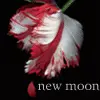 New moon