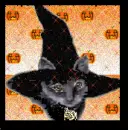 witch kitty