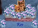 kay
