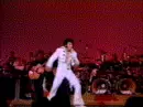 elvis