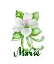 Marie