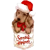 Santa's Helper