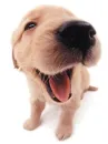 cuteee!!!