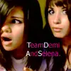 Team demi and selena