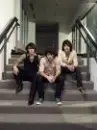Jonas brothers