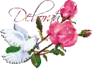 White dove pink roses - Deborah